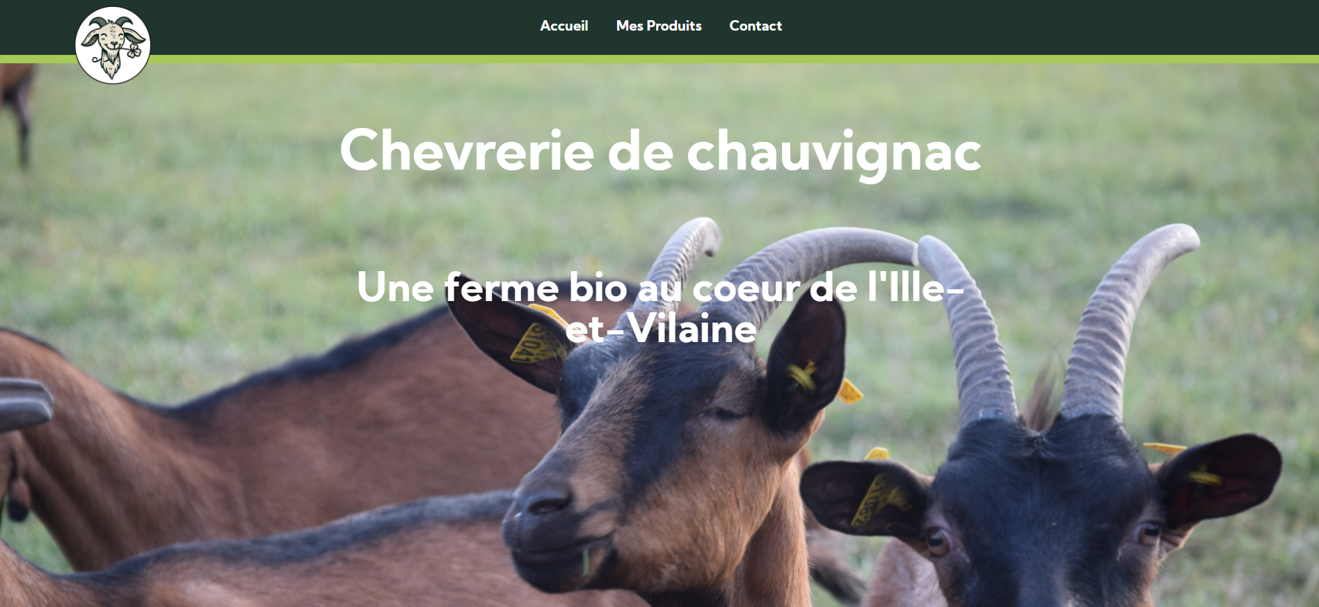 page d'accueil du site